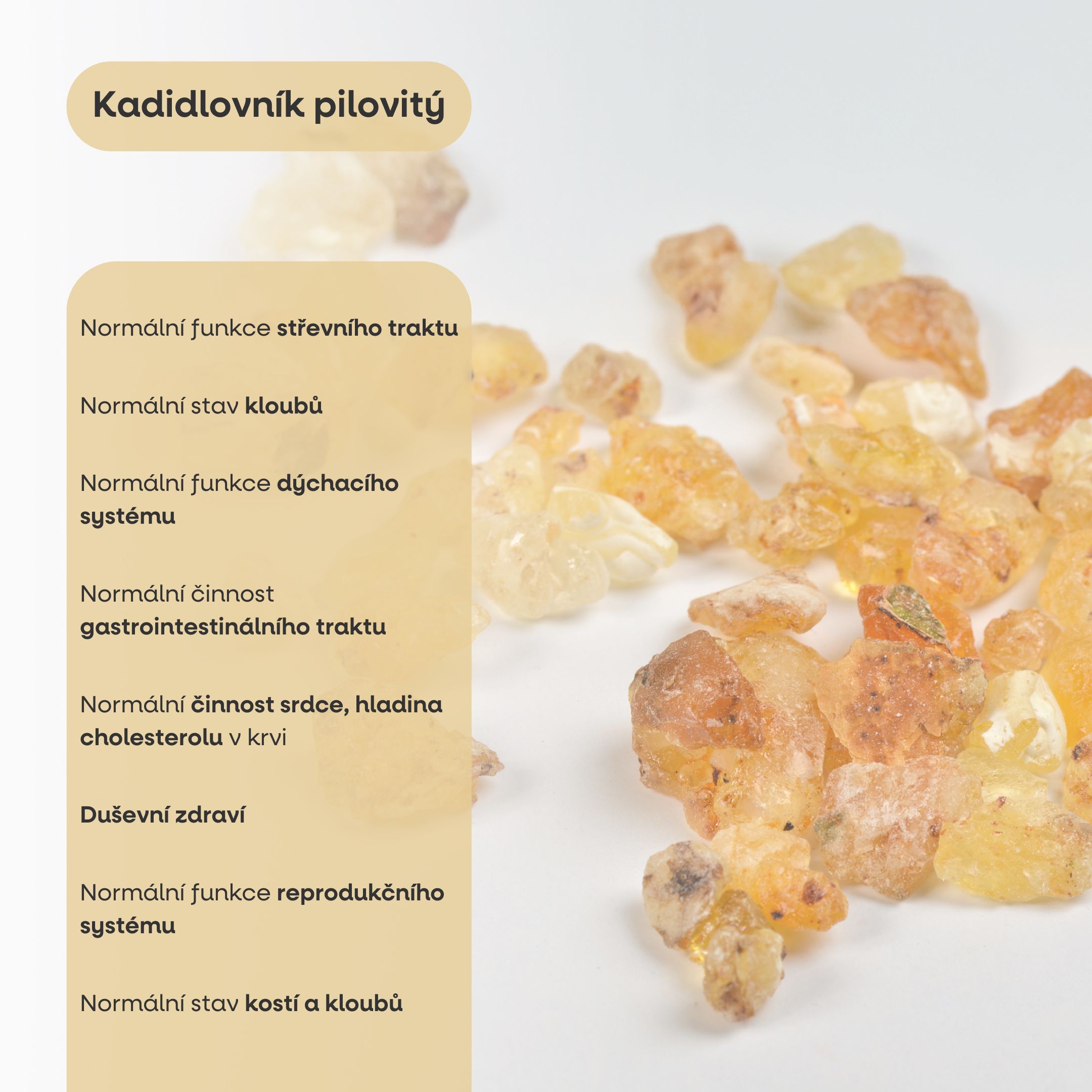 kadidlo info